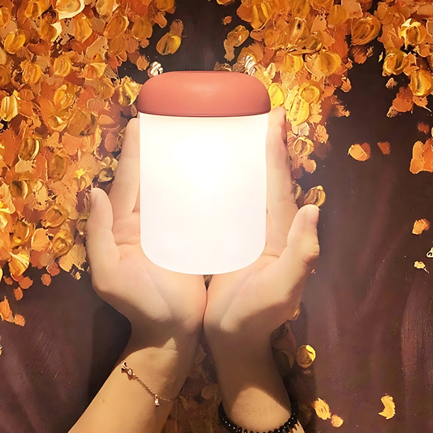 Veilleuse Lampe Lanterne Portable NemiLum